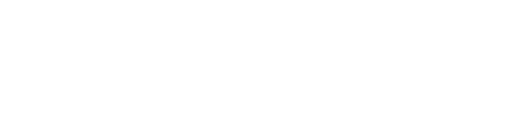 Seggel